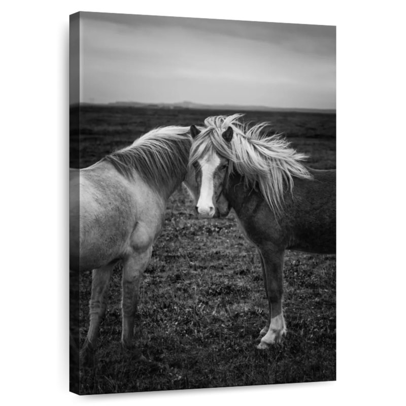 Brampt Loving Icelandic Horses, 39" H x 26" W