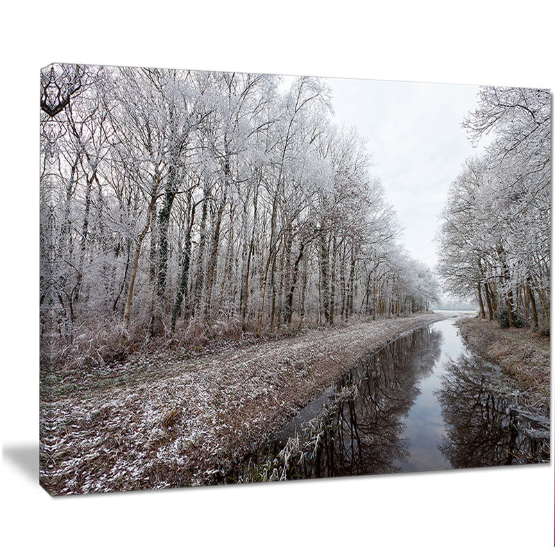 " Trees In White Winter Landscape ", 30" H x 40" W x 1" D