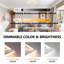 Dalonte LED Flush Mount-1798471252