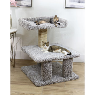 Support pour chat New Cat Condos