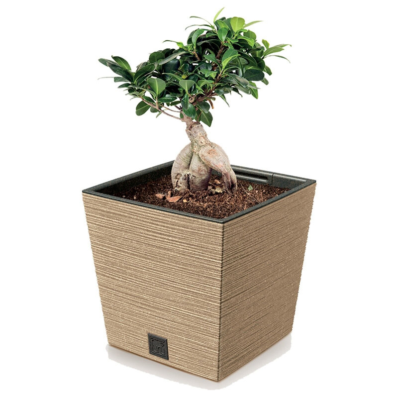 Planter Box
