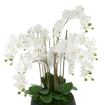 Orchid Centerpiece in Ceramic Pot