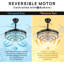 Ventilateur de plafond Zink avec lumières DEL