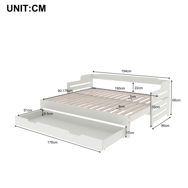Delby Single Solid Wood Daybed with Trundle