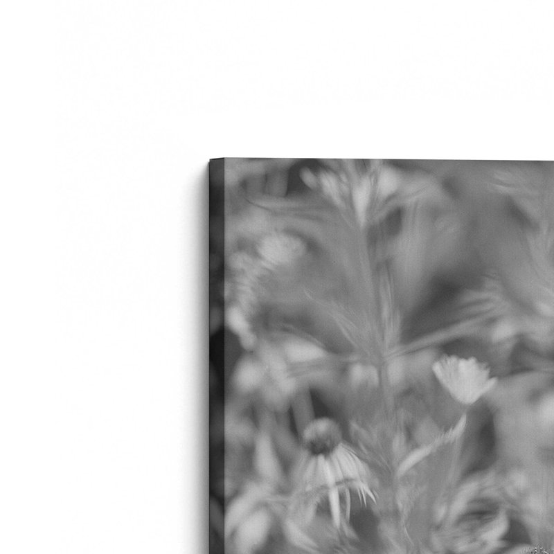 Impression sur toile «Coneflower II» par Tony Smith, H 36 po x l 24 po