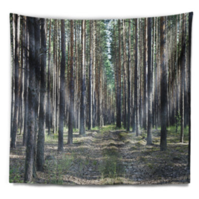 Tapisserie Forest Road