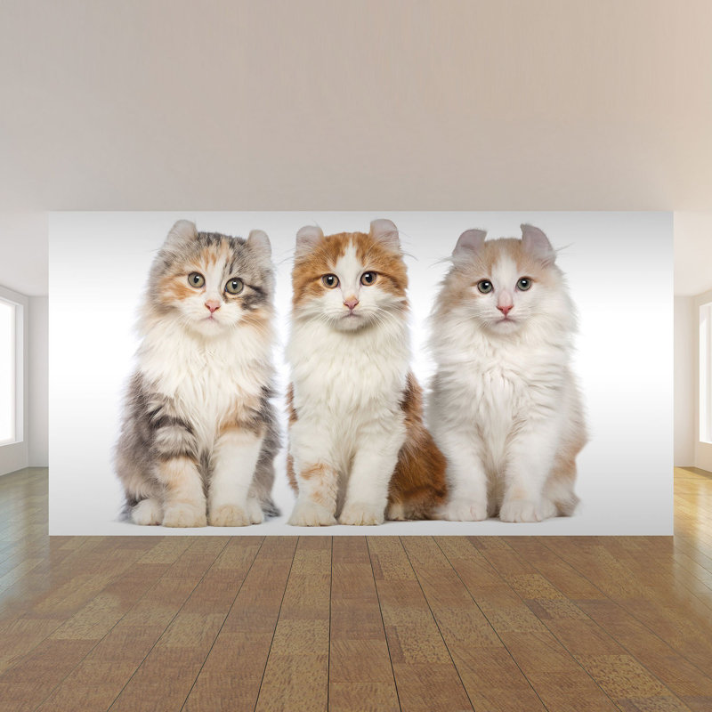 Panneau de papier peint Yeprad Cats, L 100,08 po x l 192 po