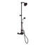 Système de douche thermostatique exposé avec inverseur-132493595