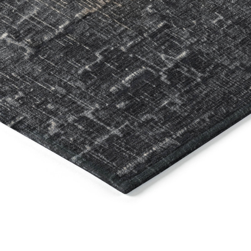  Machine Washable Indoor/Outdoor Chayden ACN1066 Rug, Rectangle 8' x 10'