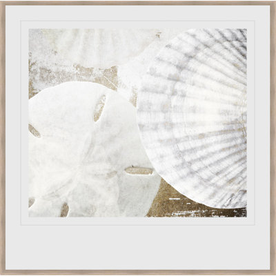 « white shells ii », impression encadrée