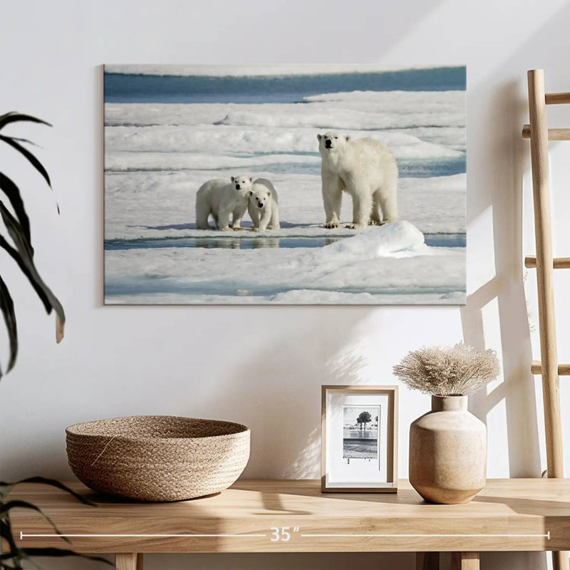 Ours polaires Brampt Longyearbyen, H 16 po x l 24 po