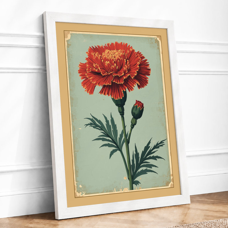 Ruffled Carnation Study Botanical - Framed Print, A4 - 29.7 x 21.0 cm, White