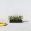 Connoisseur Handmade Planter Box-995207058-1024184423