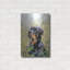 «Rottweiler Spirit of Loyauté» par John Silver-2072631016