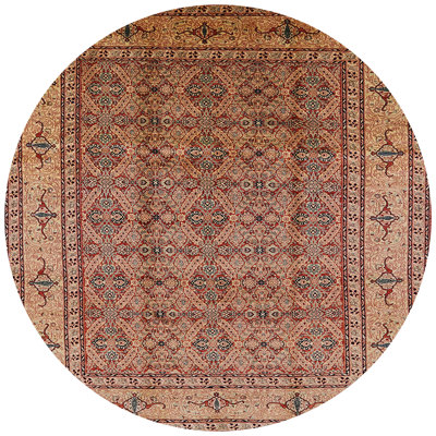 Oriental Indoor Rug