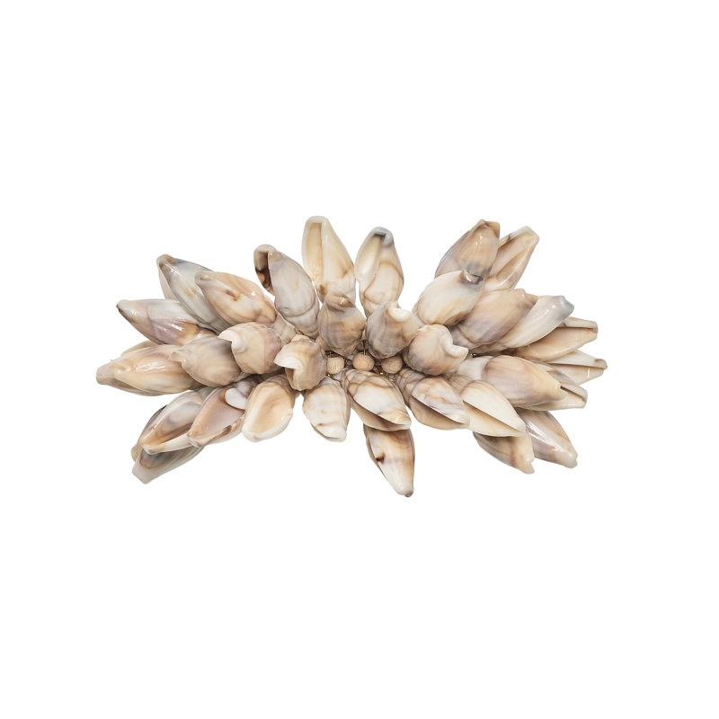 Shell Fringe Napkin Ring in Ivory/Brown