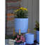 Pot de fleurs-301192161-301192165