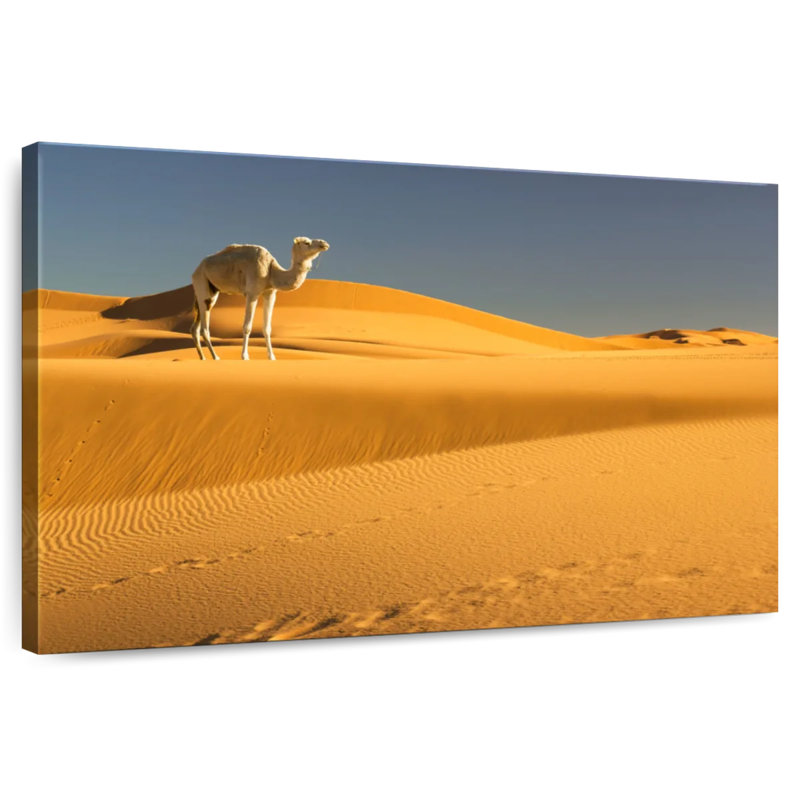 Alvord Sahara Desert Camel, 16" H x 24" W