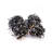 Twinkly Smart Decorations 400 LED Amber Gold and White Cluster Lights