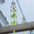Glass Leaf Wind Chime