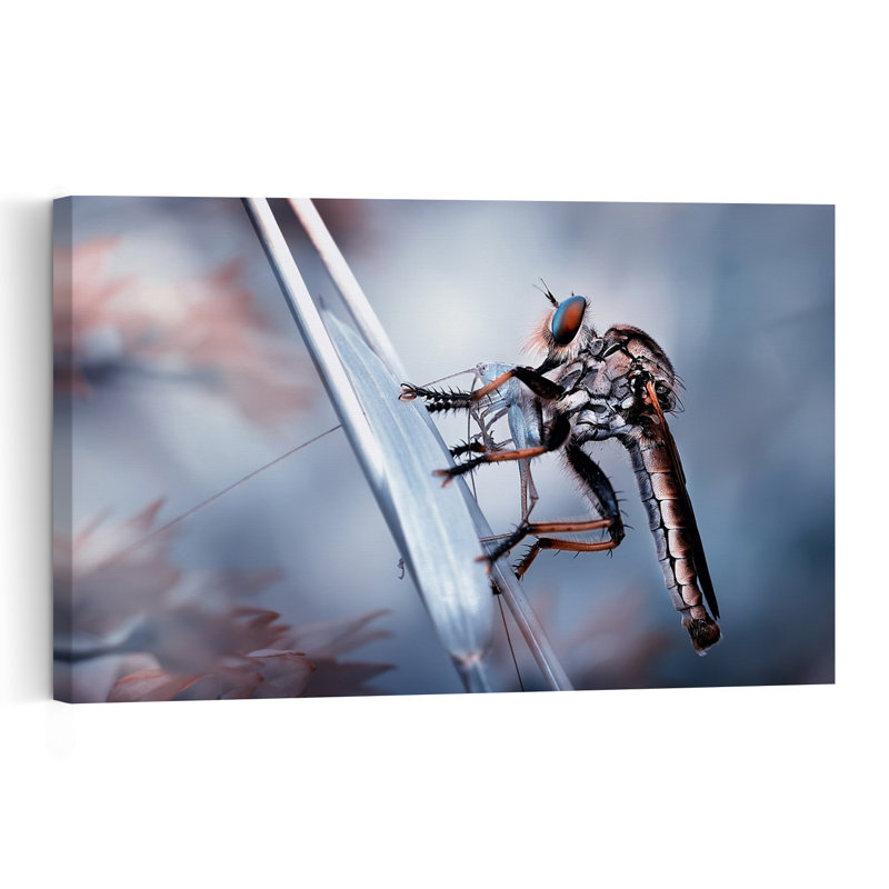 Blue-Eyed Predator Contemporary Wall Art Print 1 Piece Wrapped Canvas Wall Art, 40.64cm H x 60.96cm W
