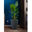  Grand pot de fleurs noir nervuré, pot d'intérieur avec finition texturée, aspect pierre de PVC léger pour décoration moderne de maison et de bureau, diamètre de 14,5 po et hauteur de 19 po
