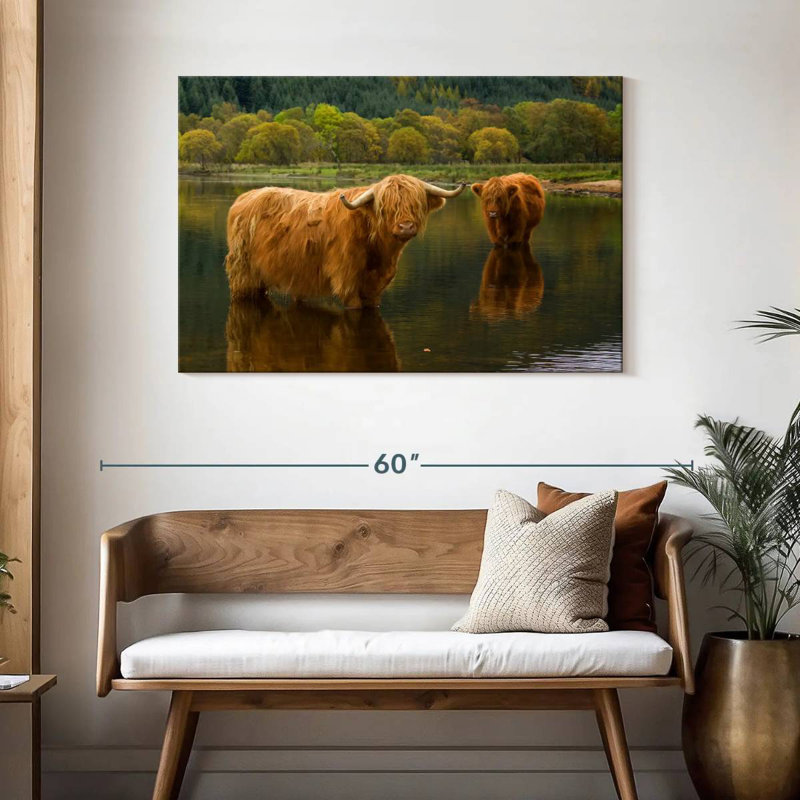 Brampt Bathing Highland Cow, H 30 po x l 45 po