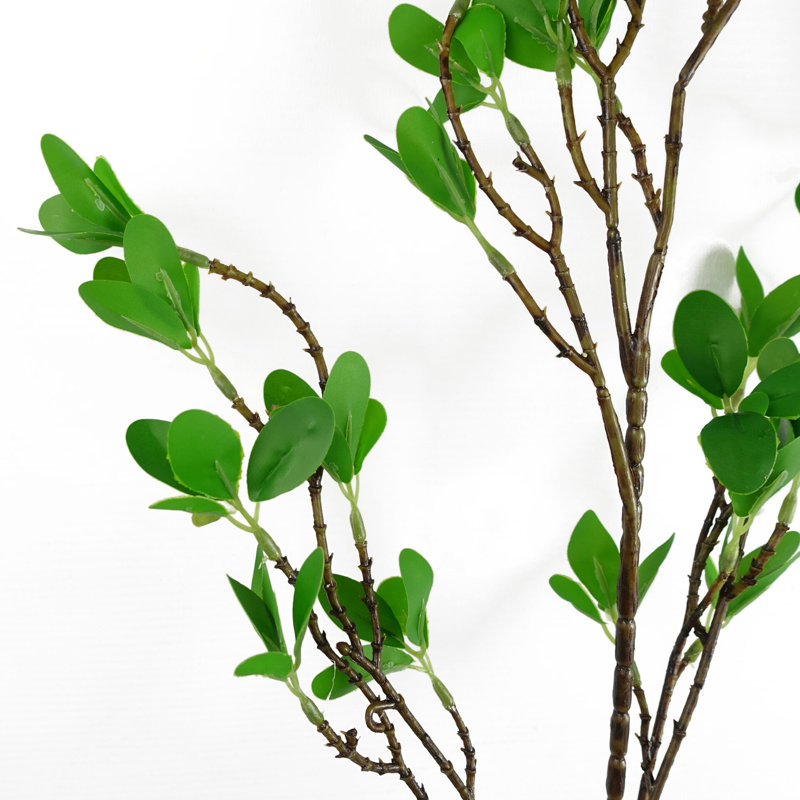 Artificial Arrangement