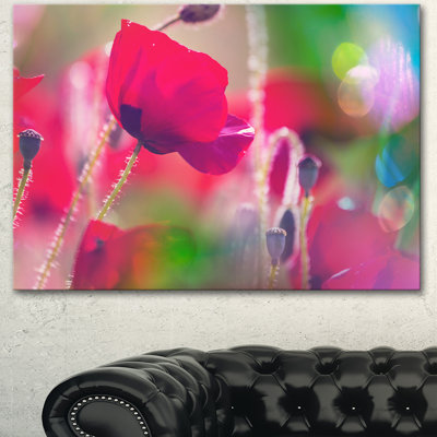 Impression sur toile tendue, "reverse la vue des fleurs rouge"
