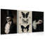 Wall Art, Moody Gothic Canvas Prints Wall Decor Paintings, Victorian Creepy Skull And Moth Posters Pictures Artwork.-1190278706