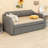 Cicel Upholstered Daybed with Trundle Bed-1741891535