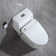One Piece Toilet with Electric Smart Bidet Seat,Rear/Front Wash,Heated Seat,Wireless Remote,Advanced