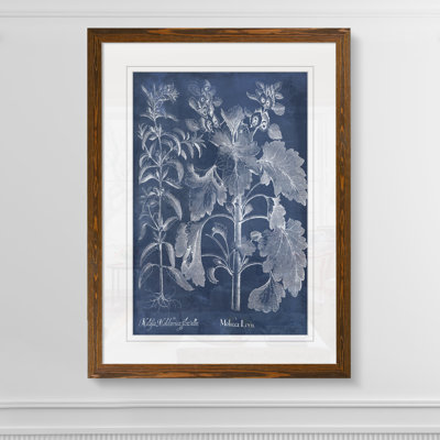 " Besler Leaves in Indigo I " by Paul Cezanne Acrylic Painting