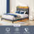 Upholstered Bed Frame with Headboard-Storage Headboard with Smart LED Lights and USB Charging Station,Noise Free,No Box Spring Needed-1944431692-1944431693