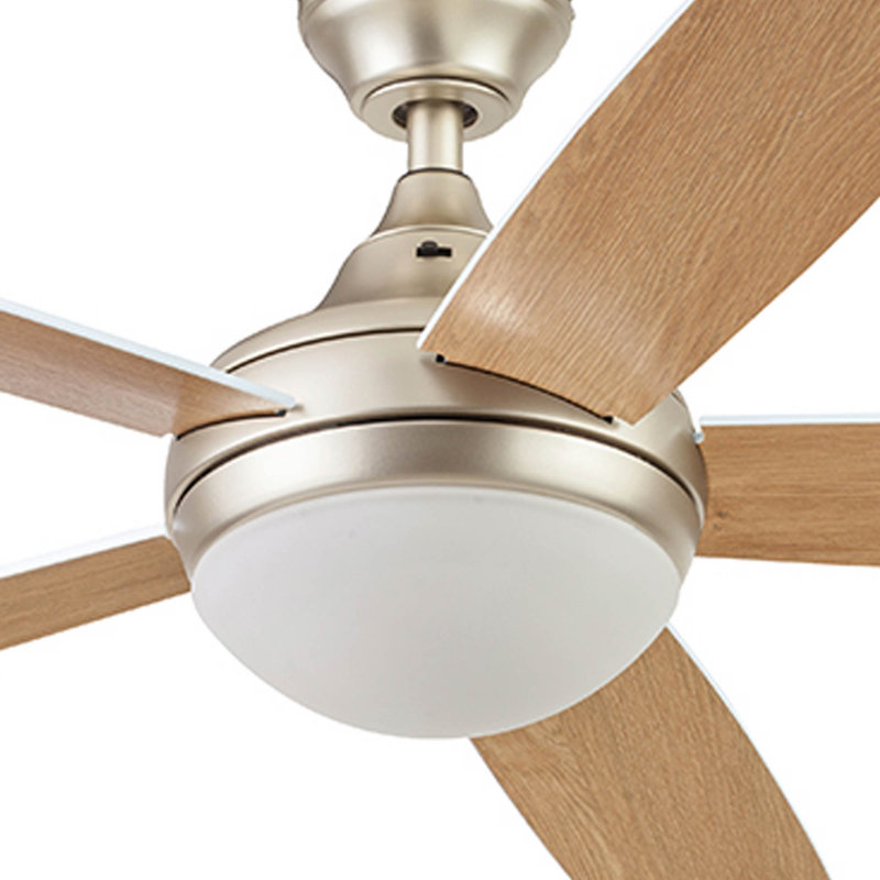 Ventilateur de plafond d'intérieur contemporain avec lumière DEL et télécommande Ashby, Champagne avec chêne miel