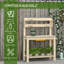Fir Wood Potting Bench