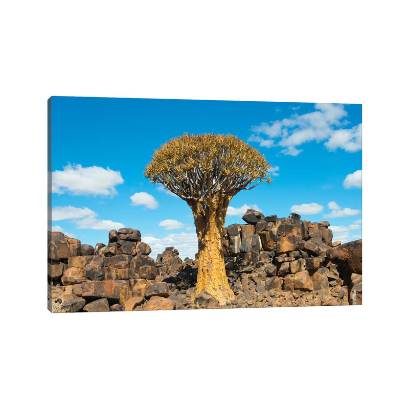 Quiver Trees And Rock Piles In Kalahari Desert, Karas Region, Namibia by Keren Su - Wrapped Canvas Print