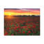 No Frame Print on Canvas-397819240