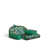 Palmier vert tropical