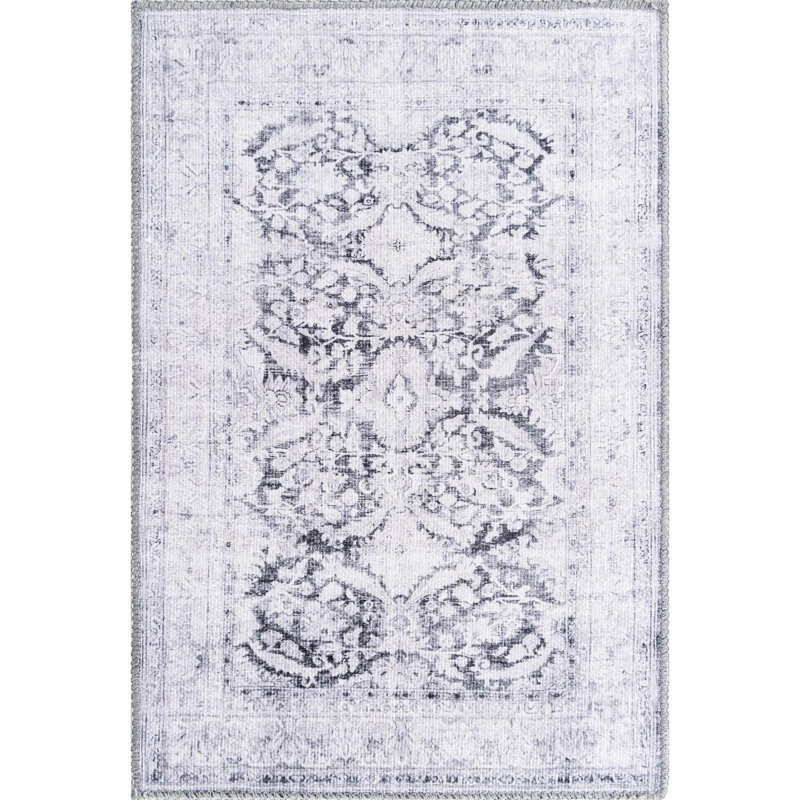 Heyde Chenille Oriental Indoor Rug, Rectangle 2' x 3'