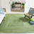 Demartini Handwoven Green Area Rug-275925442