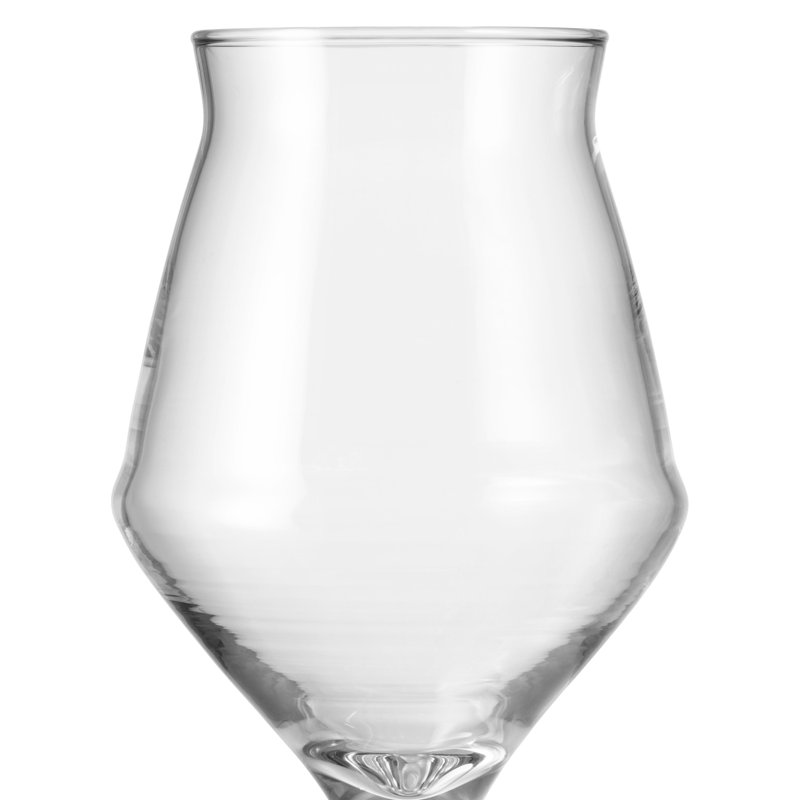  10 verres à bière Stier