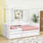 Aeriona Canopy Daybed with 2 Drawers-917037005