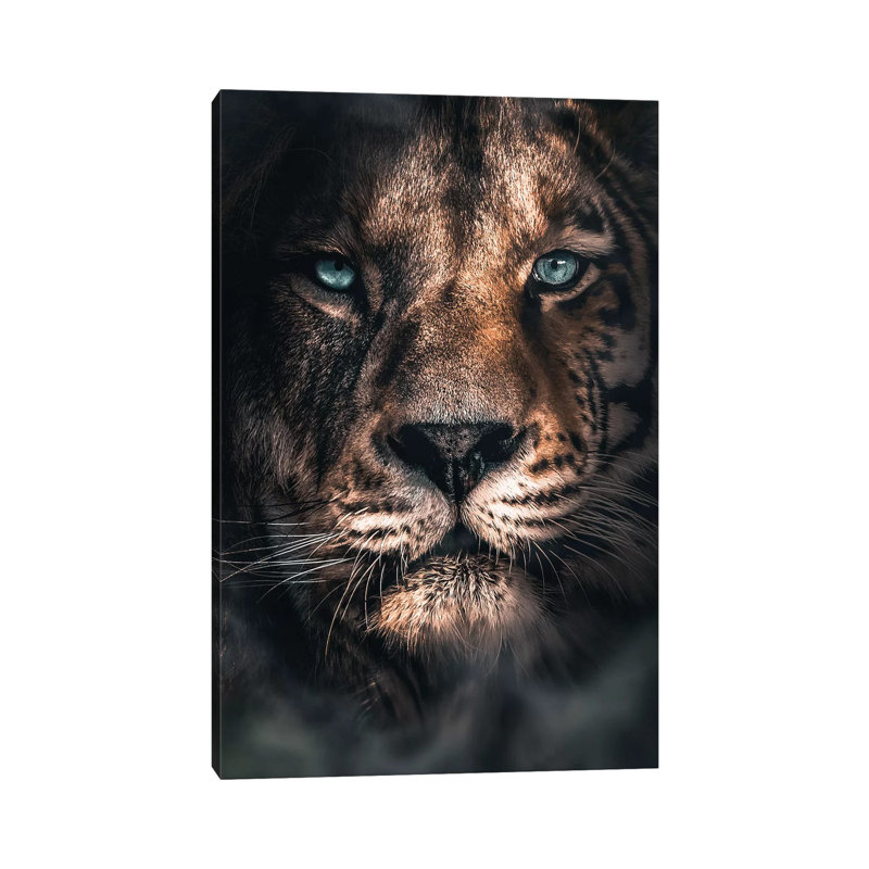 Half A Tiger Half A Lion by Zenja Gammer - Print on Canvas, Wrapped Canvas, 20.32 cm H x 30.48 cm W