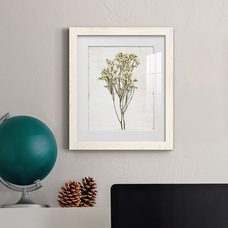 Farmhouse Pressed Flower II - peinture encadrée, H 20 po x l 17 po x P 1,5 po, Blanc