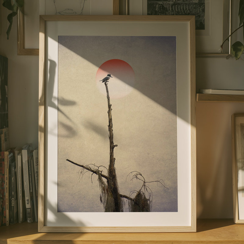 Wrapped Canvas Print, 76.2 cm H x 50.8 cm W