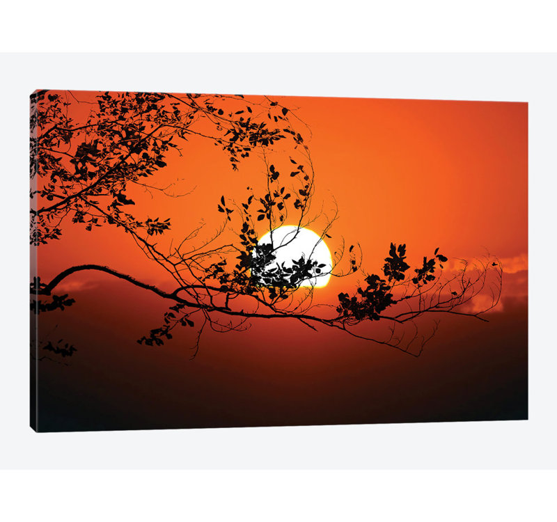 « world on fire », reproduction de photo sur toile, H 8 po x l 12 po x P 0,75 po