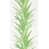 White/Green