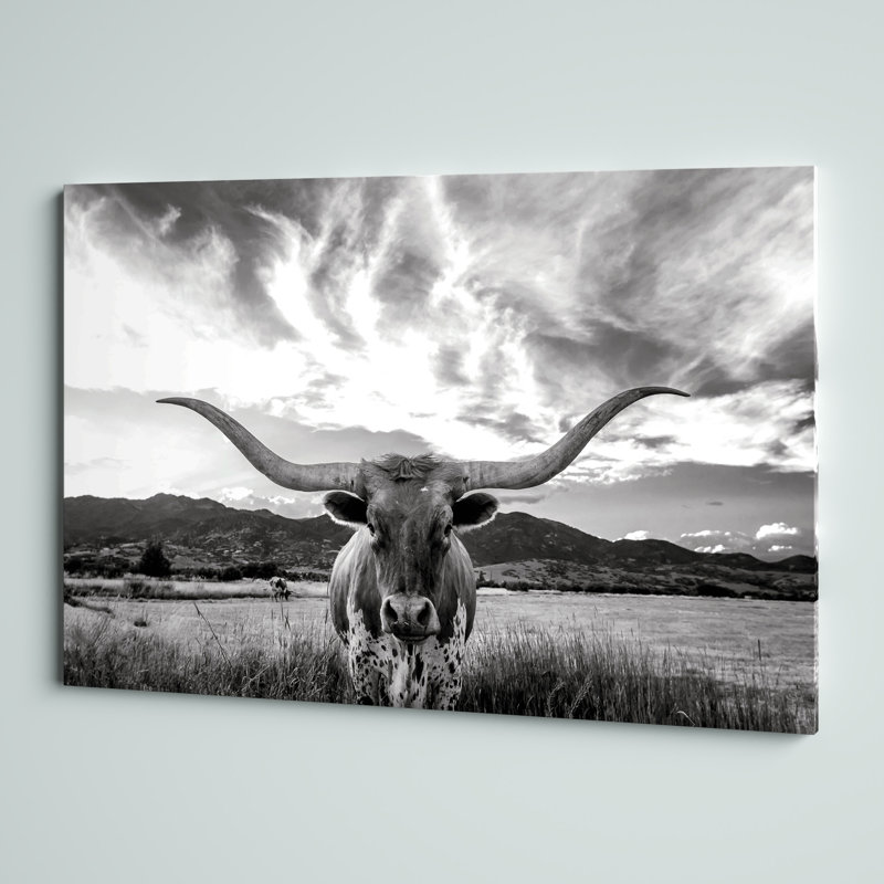 «Black and White Longhorn Cow I», photographie sur toile tendue, H 32 po x l 48 po, Toile avec cadre érable, Blanc