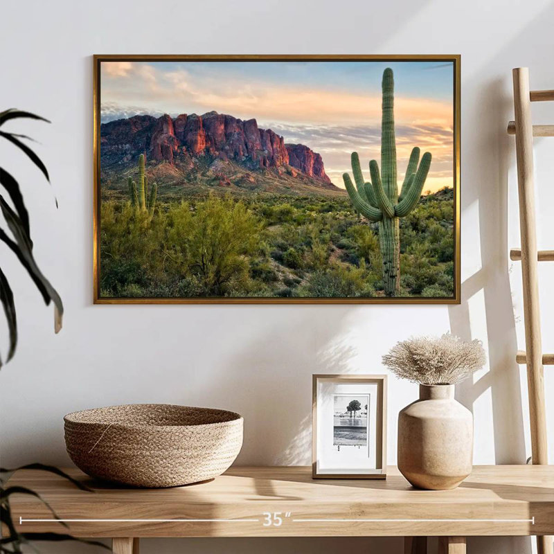 Cactus View II, Cadre flottant doré, 25 po x 17 po